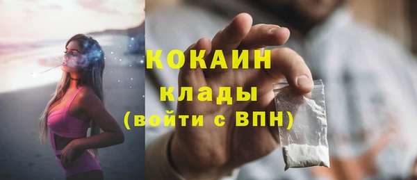 индика Михайлов