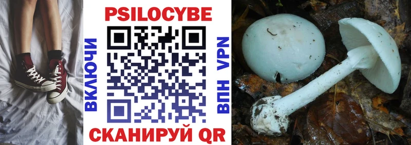 Купить  Жиздра  Галлюциногенные грибы мицелий 